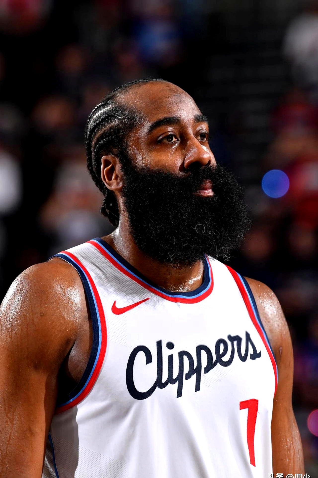 哈登新星战术调整表现突出,C9前途光明!气势如虹延续-爱游戏